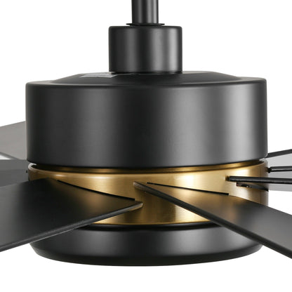 65 Inch 8-Blade Black LED Ceiling Fan with Light and Remote