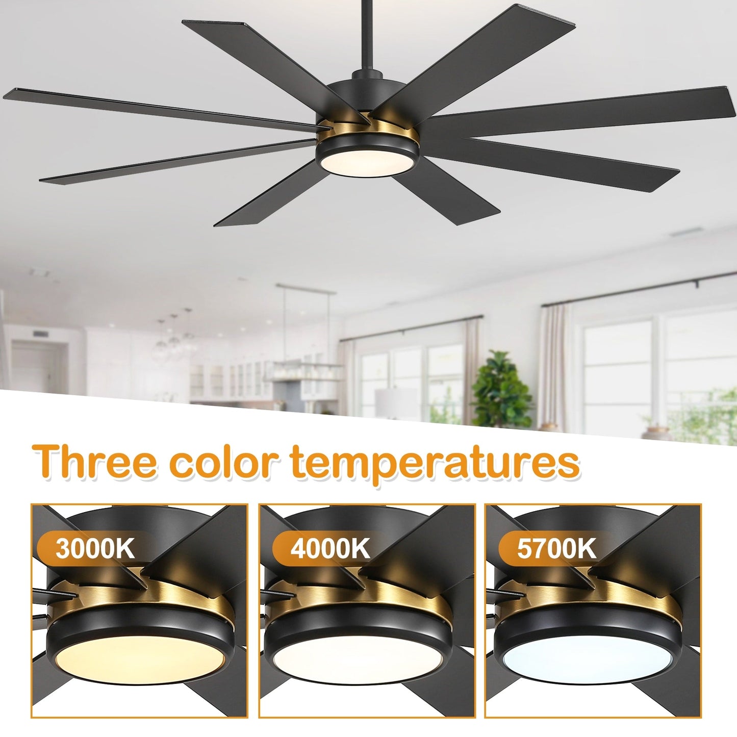 65 Inch 8-Blade Black LED Ceiling Fan with Light and Remote