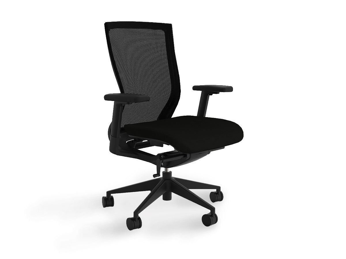 Balance Project Executive Mesh Ergonomic Office Chair with Arms - Black