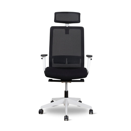 Bryce Mesh Ergonomic Office Chair with Headrest - Black