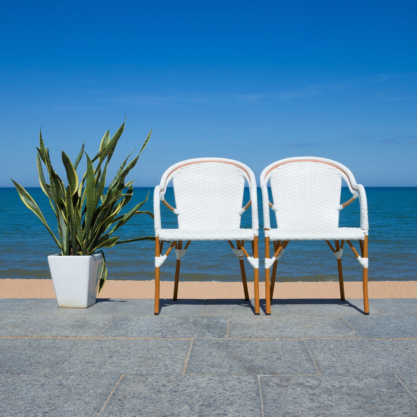 SAFAVIEH Doreth Arm Chair (Set of 2) - 23Wx36Dx25H