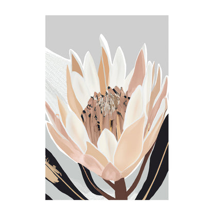 Cream Silver Protea, By Stacey Williams
