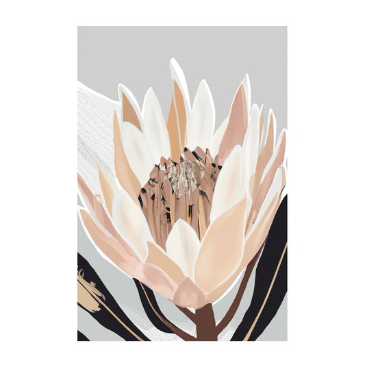 Cream Silver Protea, By Stacey Williams