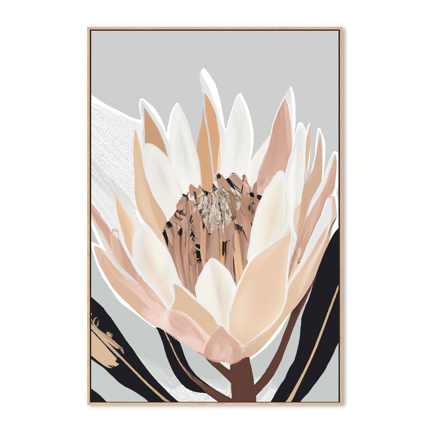 Cream Silver Protea, By Stacey Williams